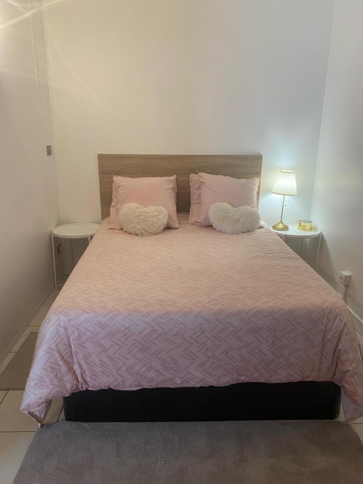 Appartement Super T2 Avec Piscine Lyon 3Eme Extérieur photo