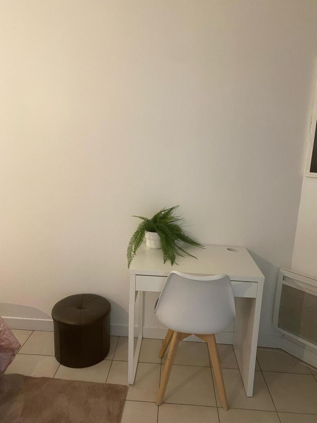 Appartement Super T2 Avec Piscine Lyon 3Eme Extérieur photo
