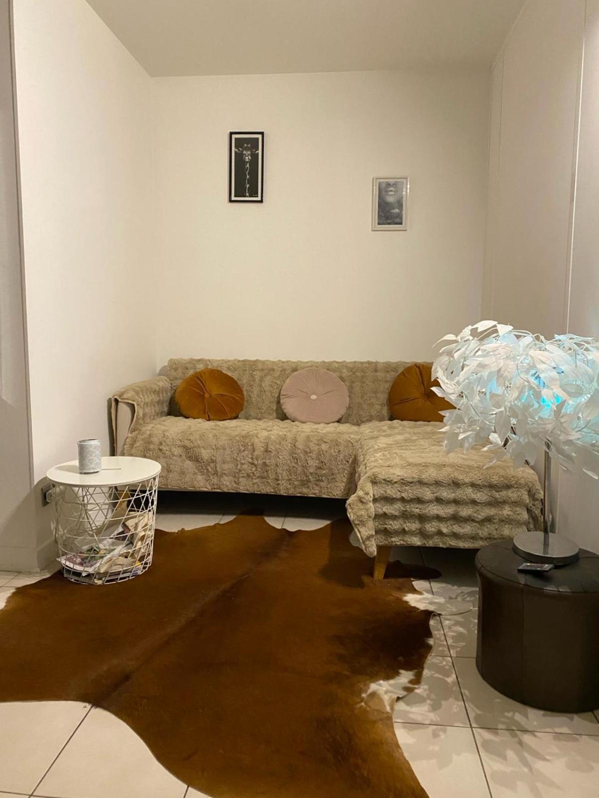 Appartement Super T2 Avec Piscine Lyon 3Eme Extérieur photo